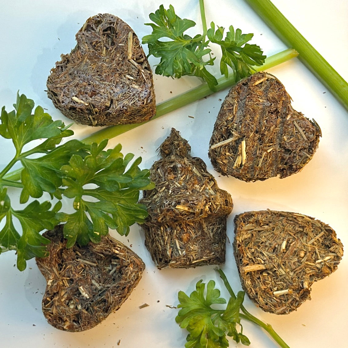 Carrot Herb Bites- Guinea Pig