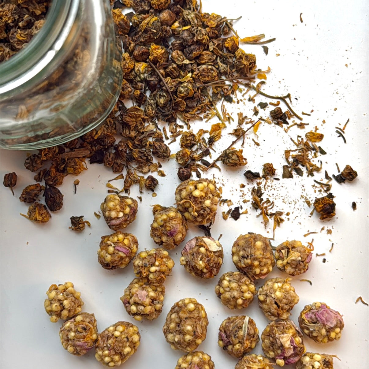 Chamomile Seed Bites- Gerbil