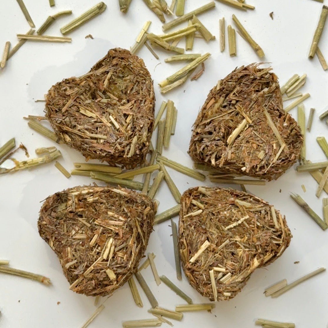 Cilantro Crush Bites- Guinea Pig