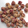 Cranberry Crunch Bites- Hamster