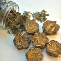 Minty Fresh Bites- Guinea Pig